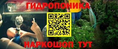 ПСИЛОЦИБИНОВЫЕ ГРИБЫ Кинель