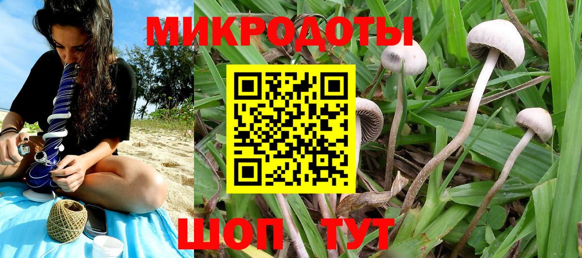 Галлюциногенные грибы Psilocybe  Вход с VPN  Курчалой 