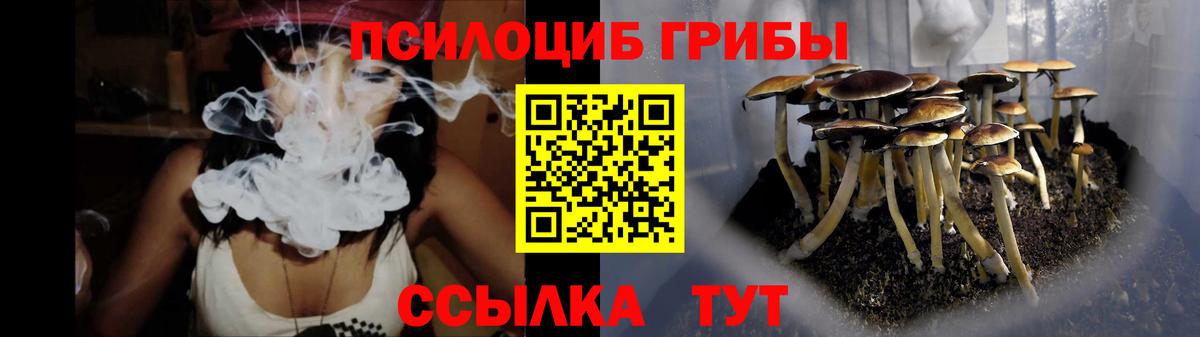 Галлюциногенные грибы MAGIC MUSHROOMS Курчалой
