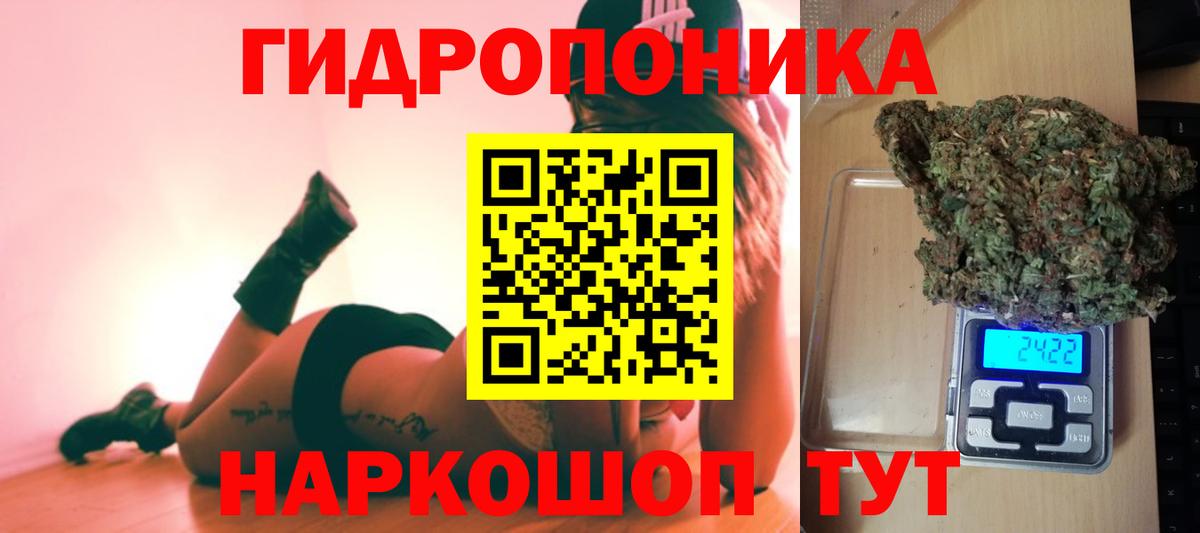 Бошки марихуана сатива Курчалой